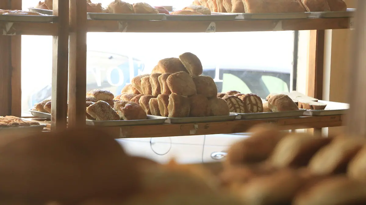 00f2ac21-2380-4e57-b6d9-4632a5d272d3