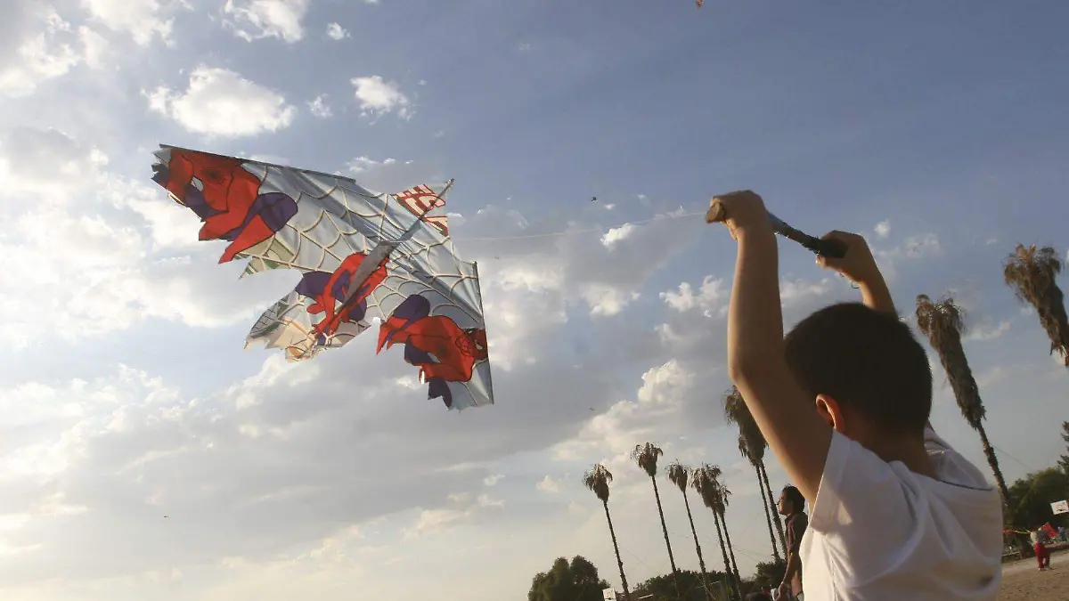 342138_Oaxaca Cometas_web