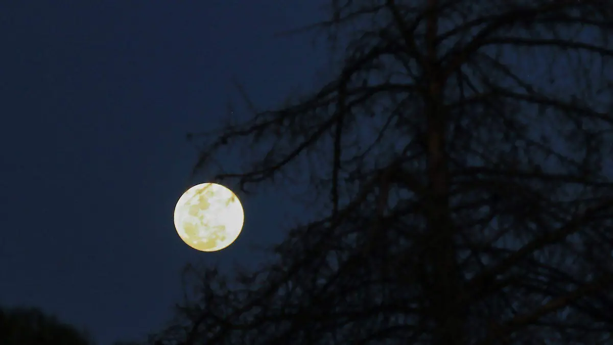 1071515_Luna Zacatecas_web