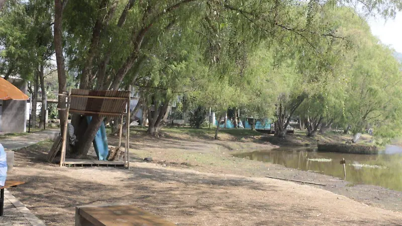 Falta de alumbrado en la Laguna El Porvenir