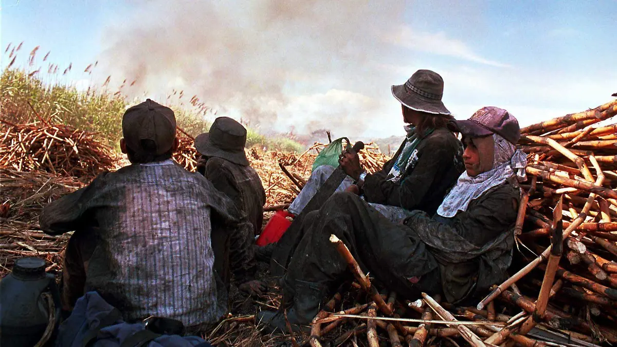 55810_Cañeros, Azucar, Productores, Trabajadores del Campo,_web