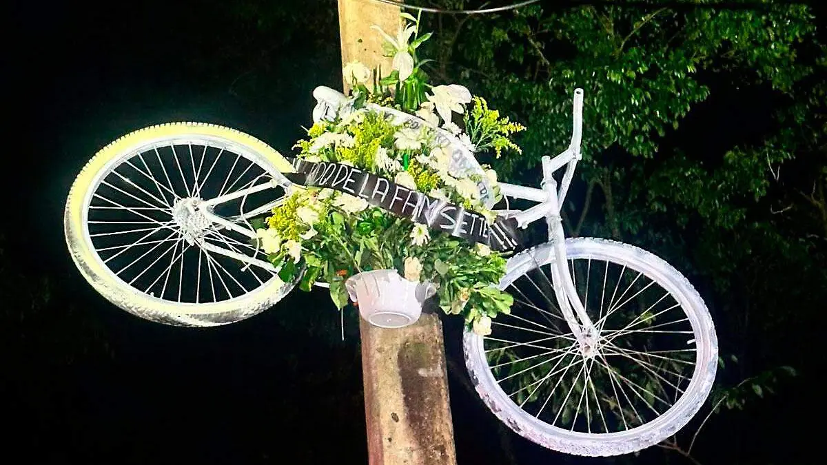 Bici