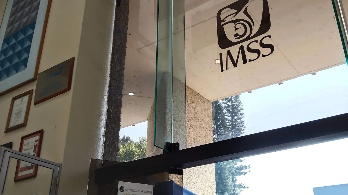 IMSS 2 - Hospital - enfermo - Xiomara Flores
