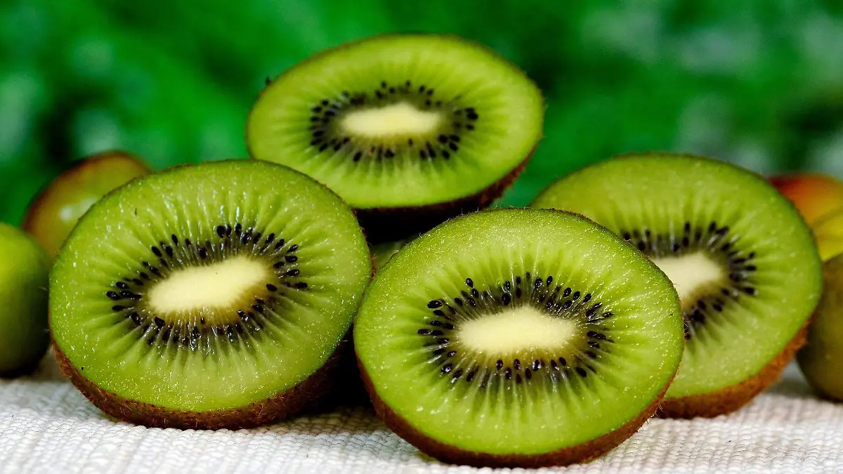 ignartonosbg-kiwi-6718889_1920