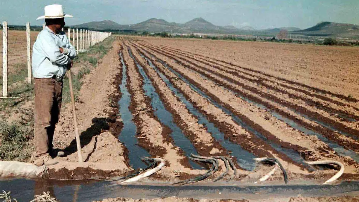 campo-sequia-riego-morelos-cortesia