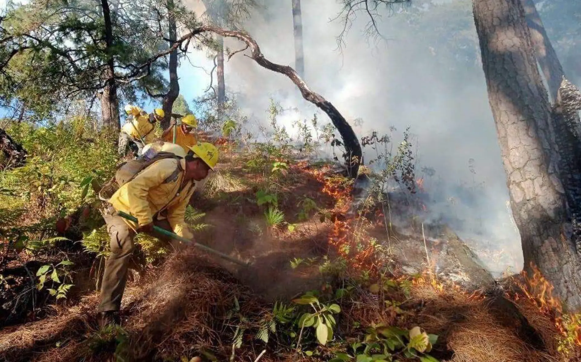 incendio-forestal-cuernavaca-foto-cortesia-centro-emergencias