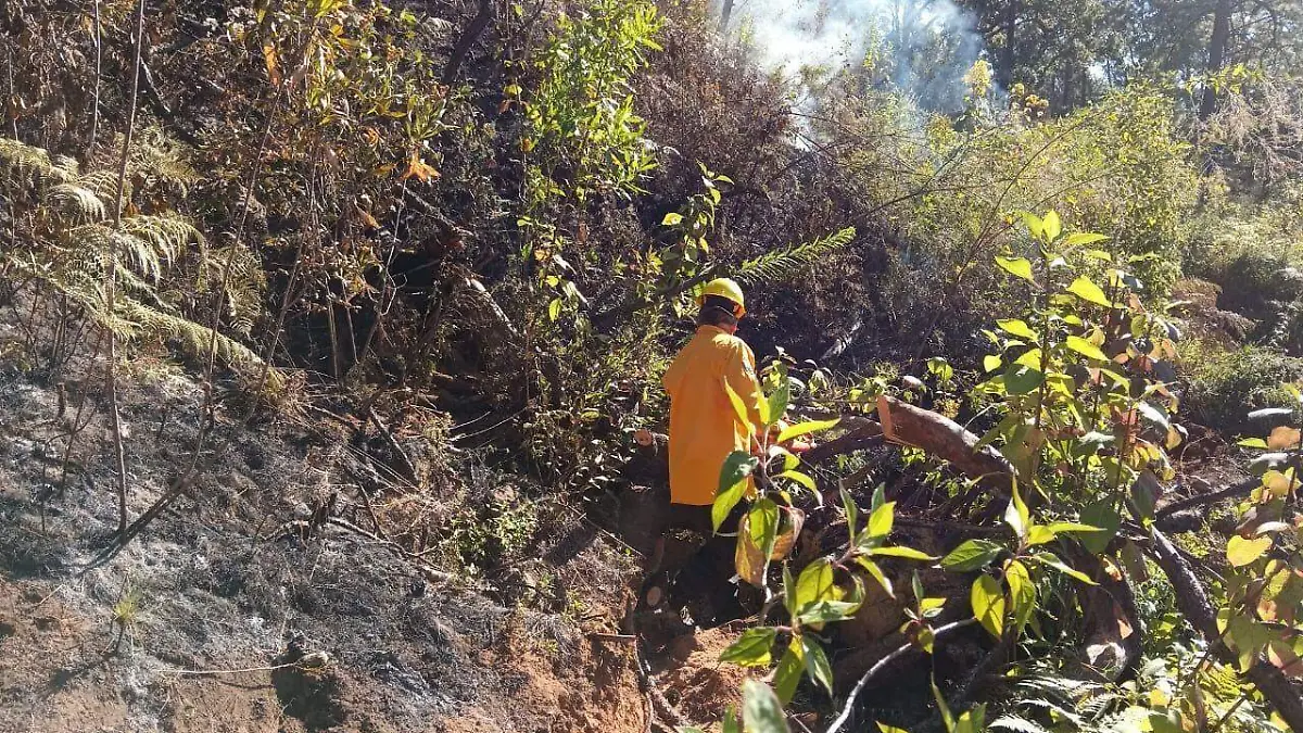 incendio-morelos