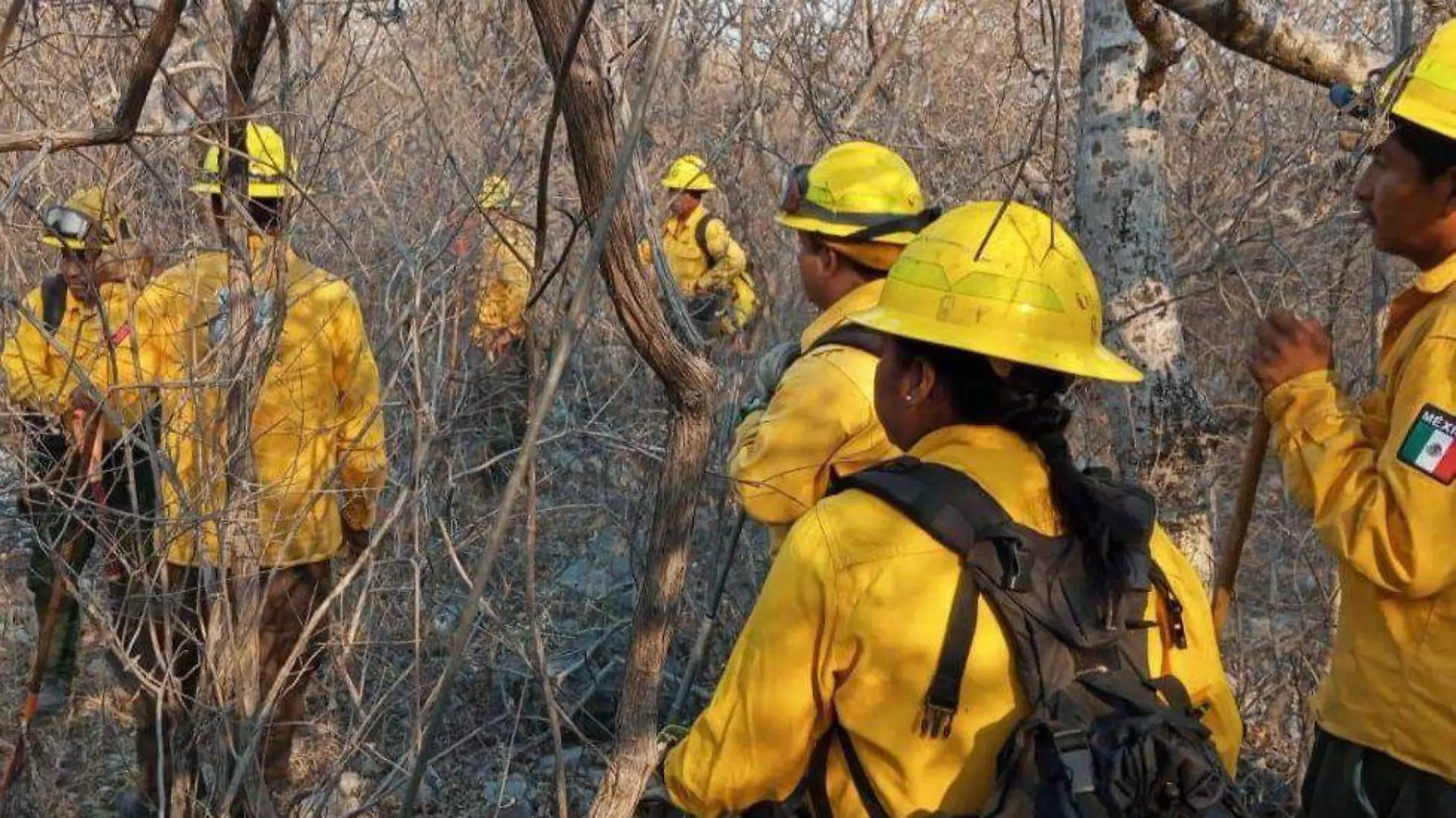 brigadas-combate-incendios-forestales-morelos-1