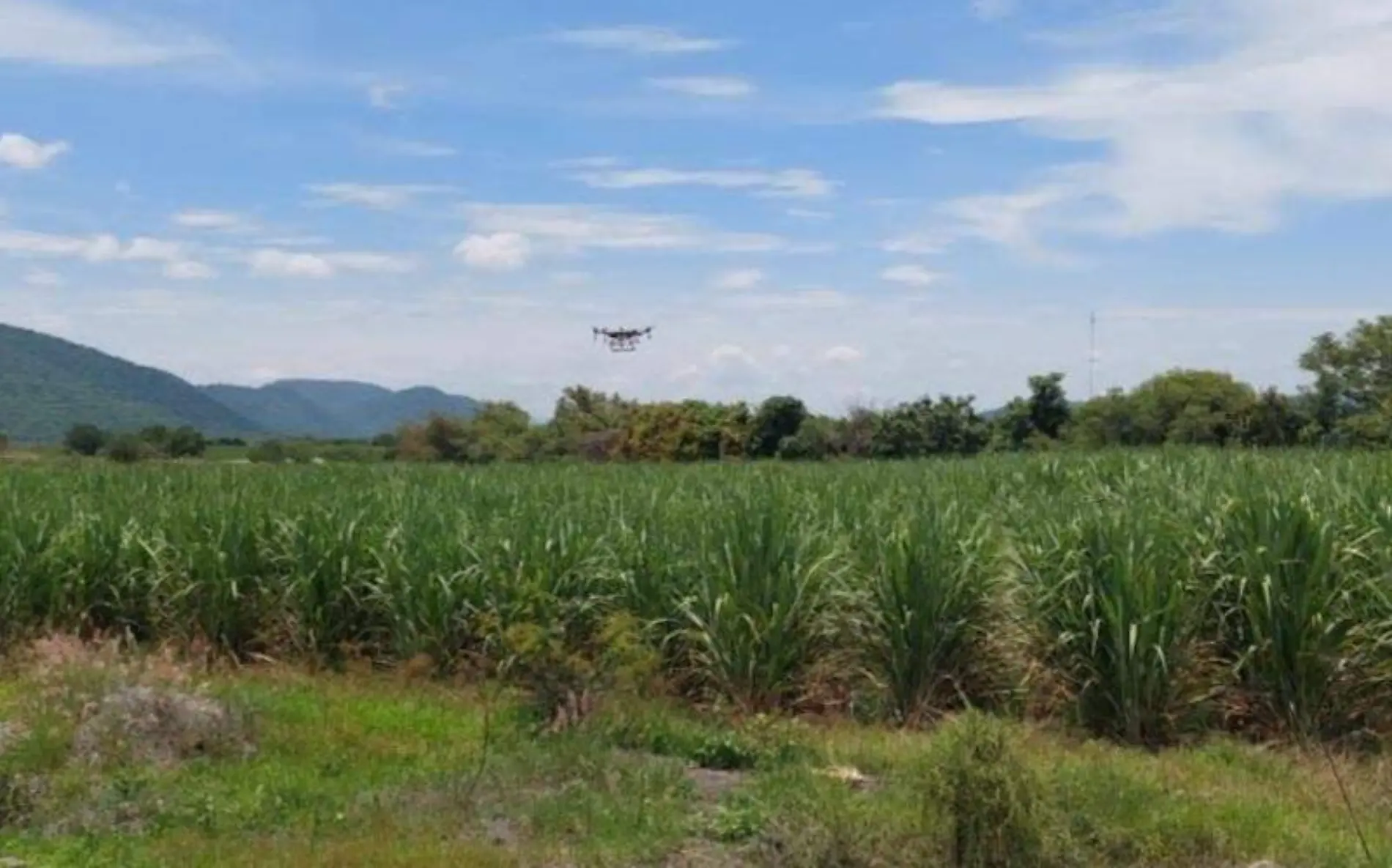 dron-fumigacion-campo-ayala-cortesia