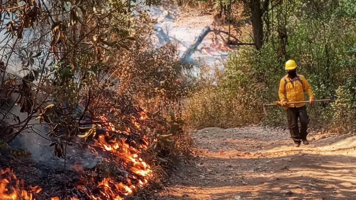 incendios-forestales-morelos-2