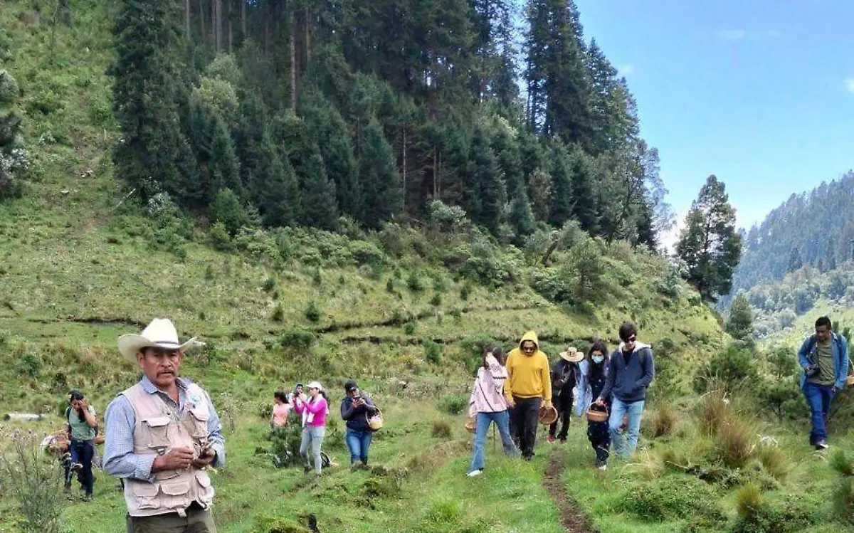 recorridos-hongos-lagunas-zempoala