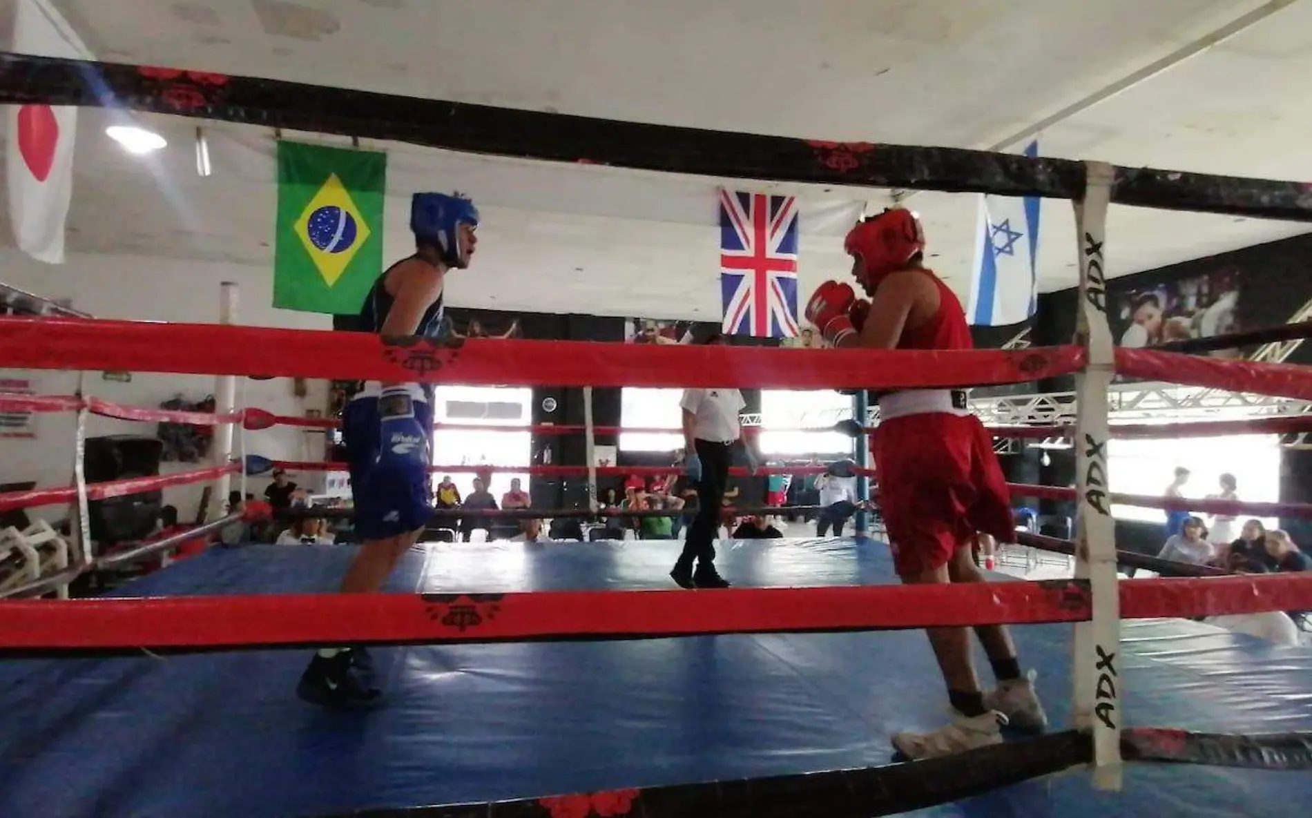 combate-boxeo-torneo-cuernavaca