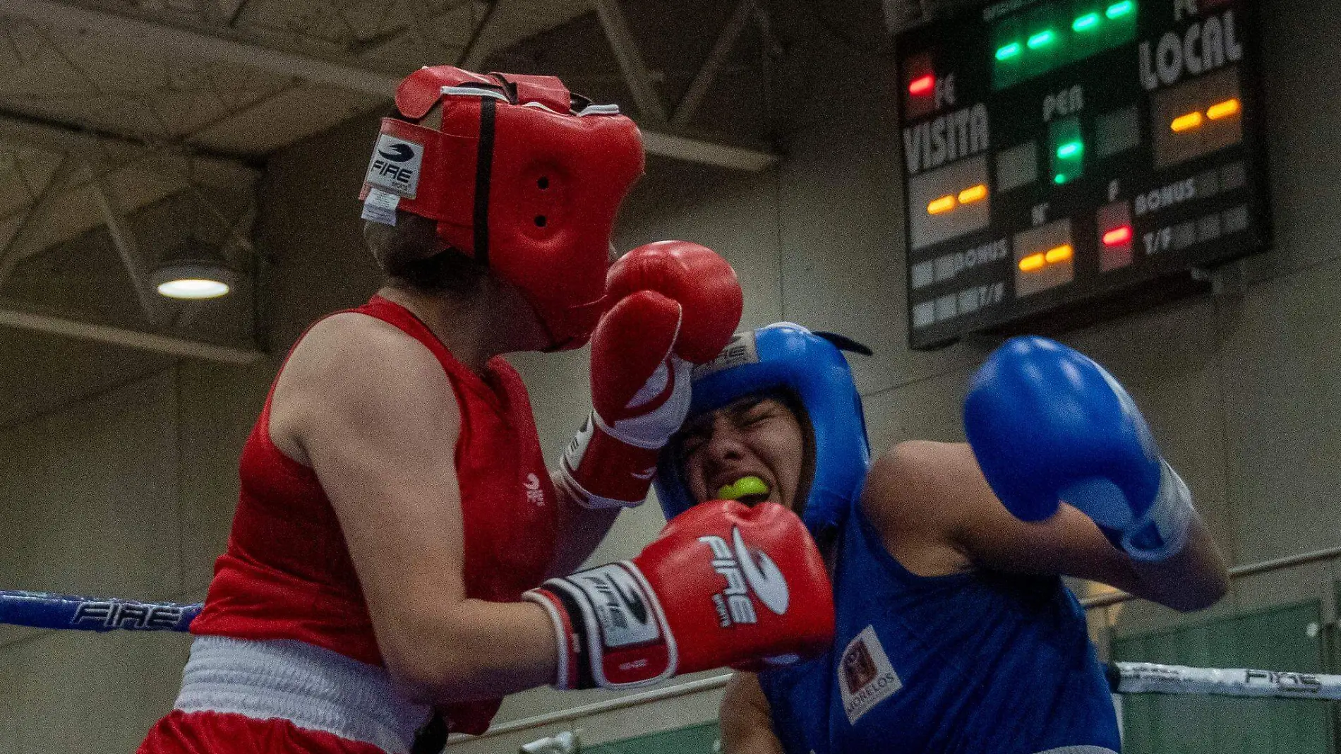 boxeadores-morelenses-torneo