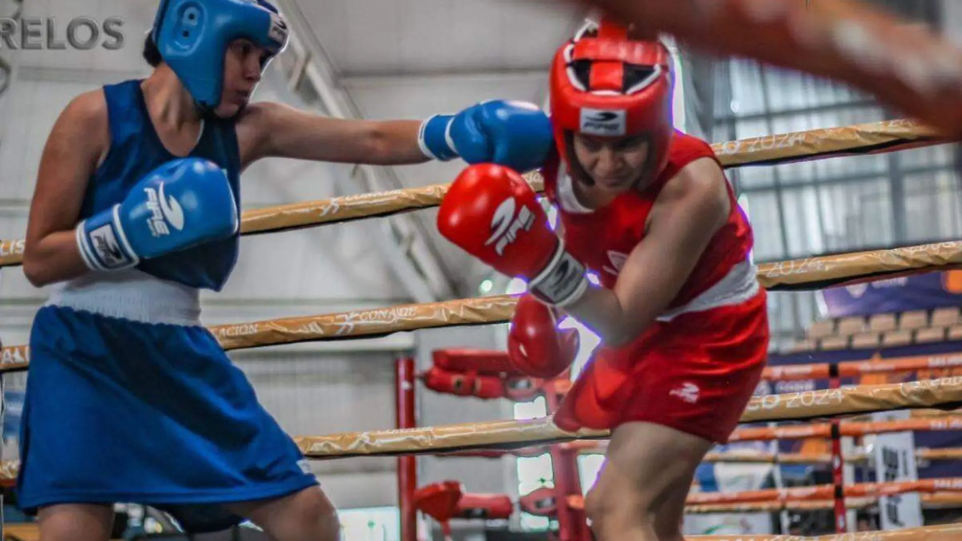 boxeo-peleas-conade