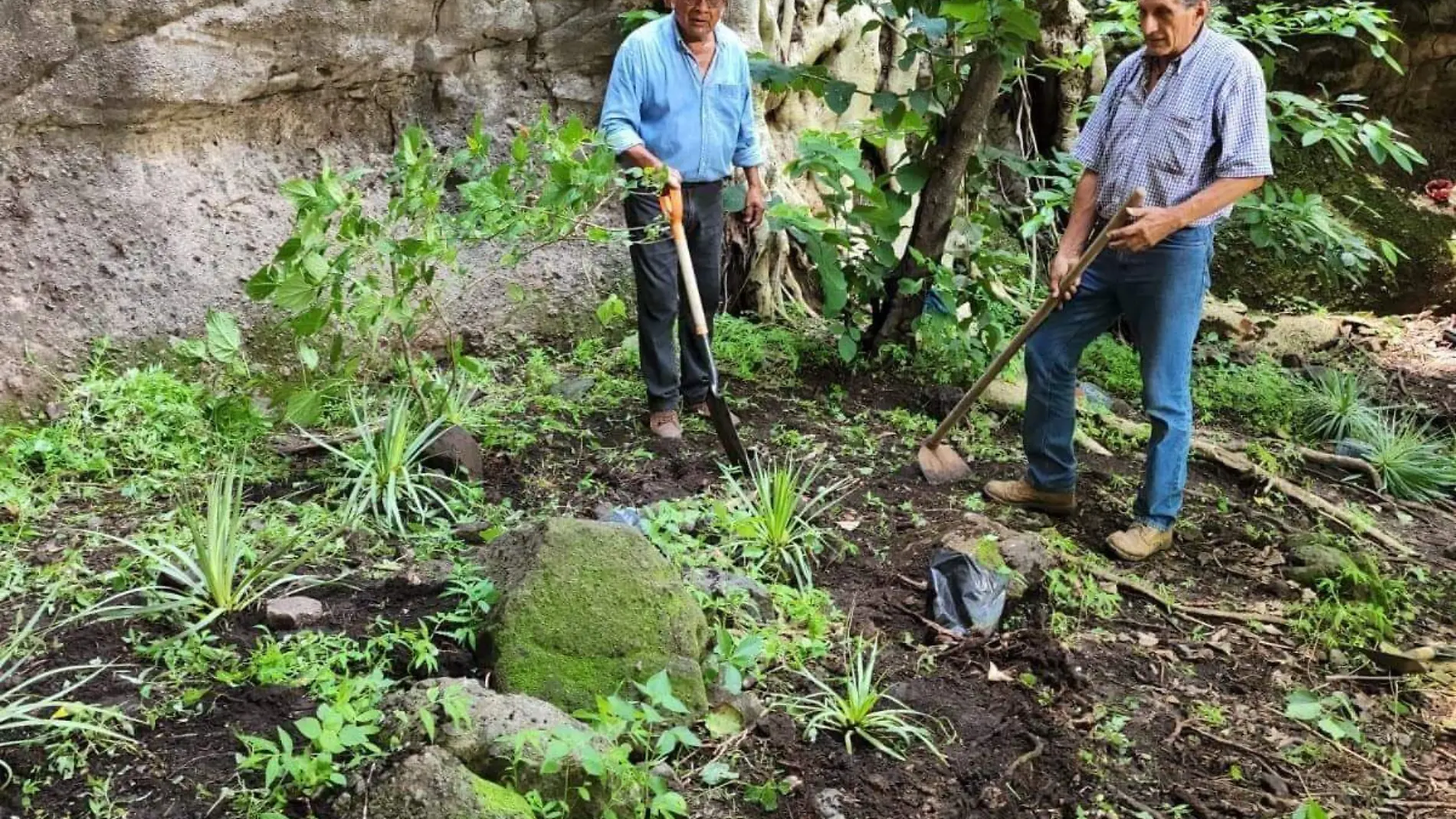 banco-de-plantas