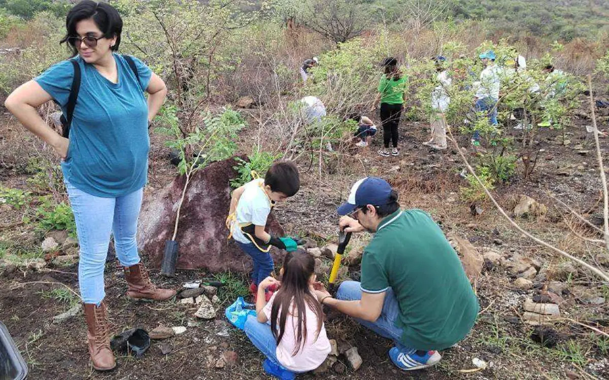 arborizacion-yautepec