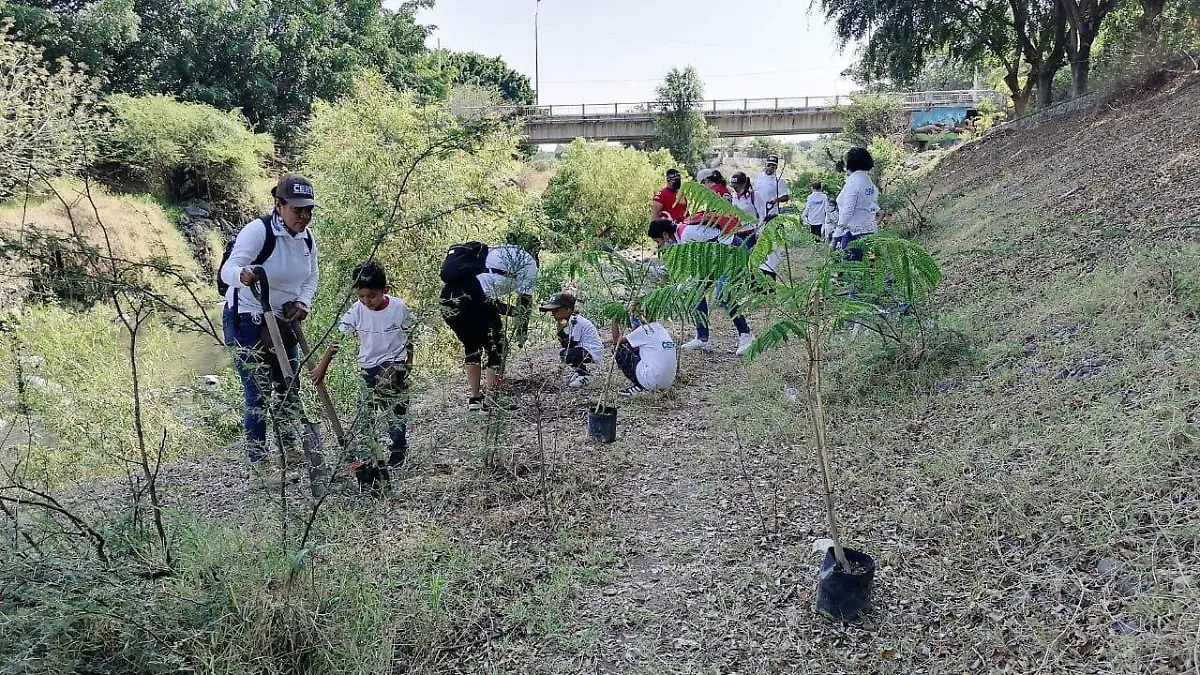 árboles-río-cuautla-gude