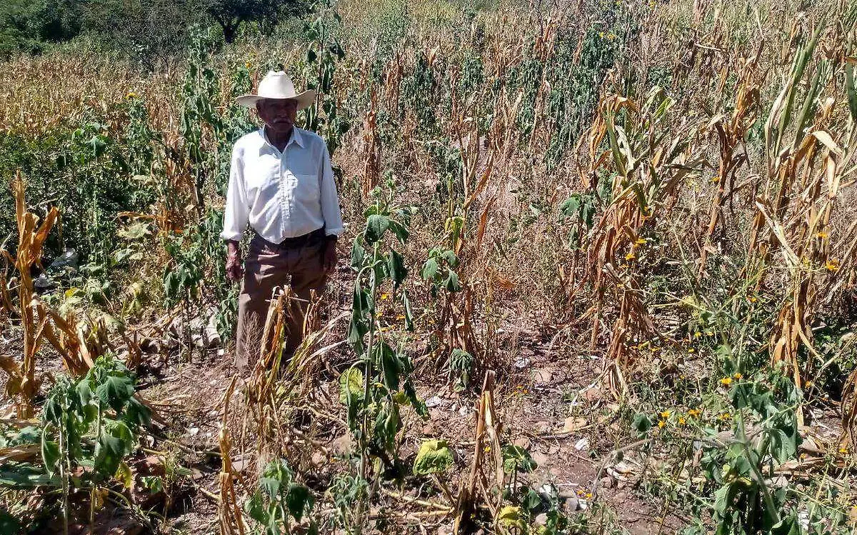 campesinos-jonacatepec-sequia-cortesia