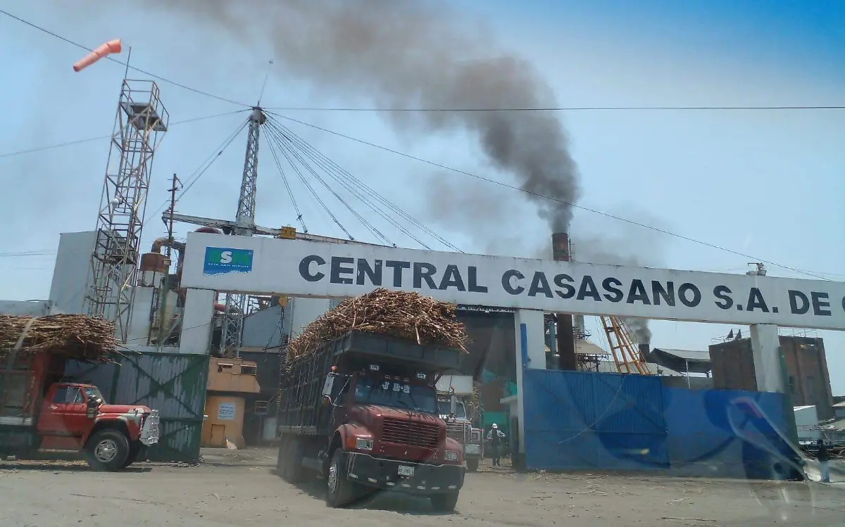 sector-cañero-rosaura