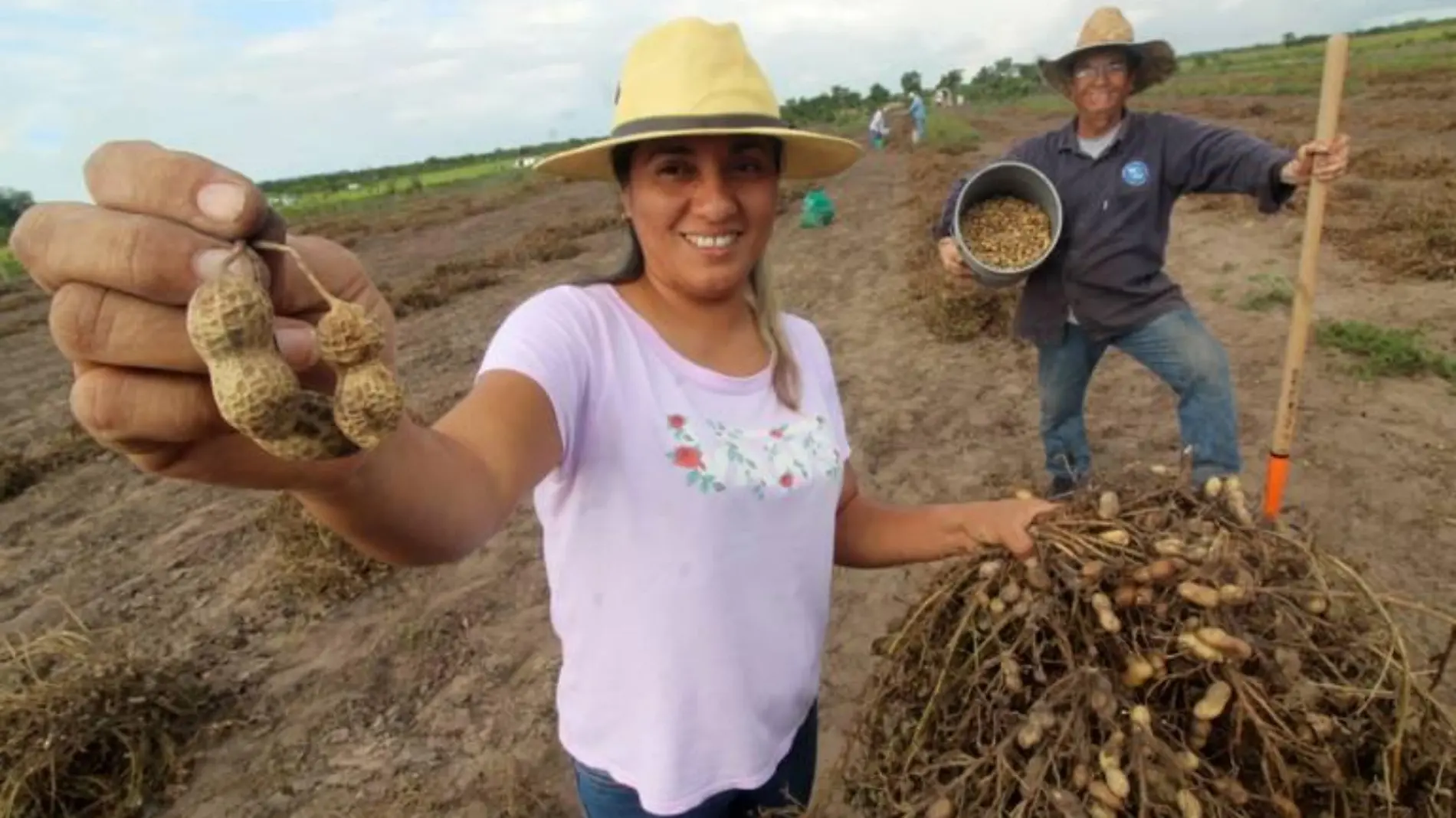 cacahuate-cortesia-san-luis-potosi