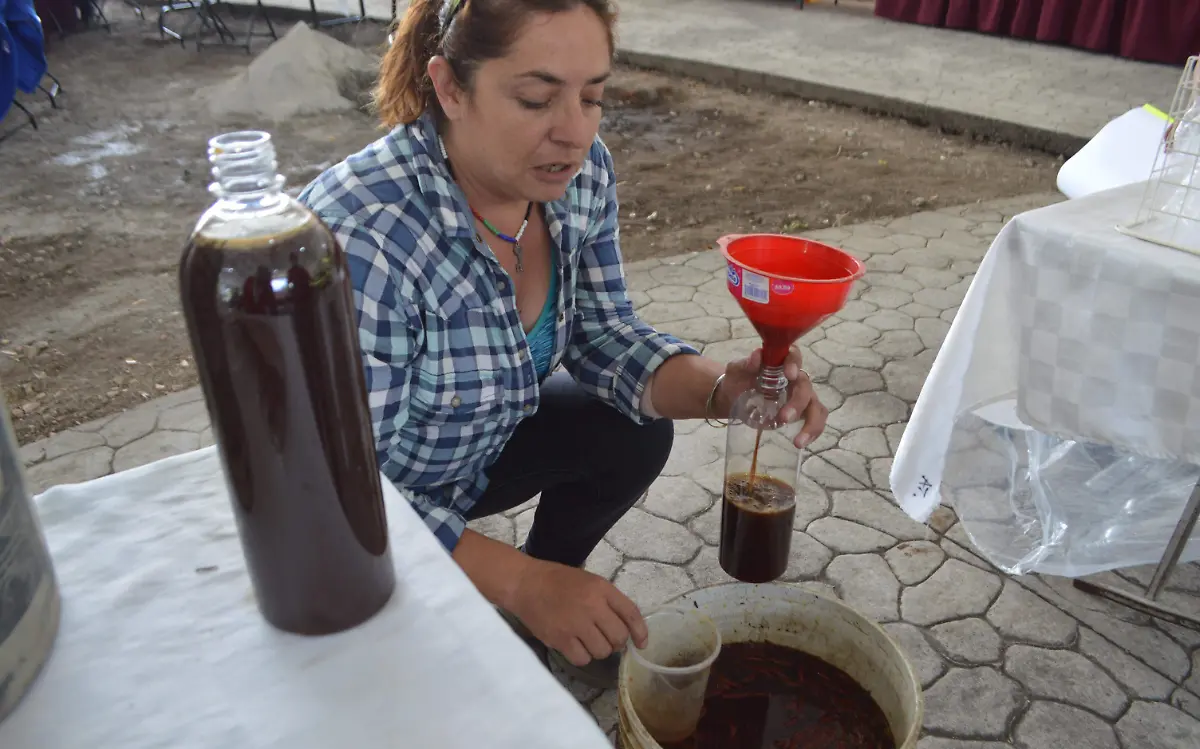 biofertilizante-arroz