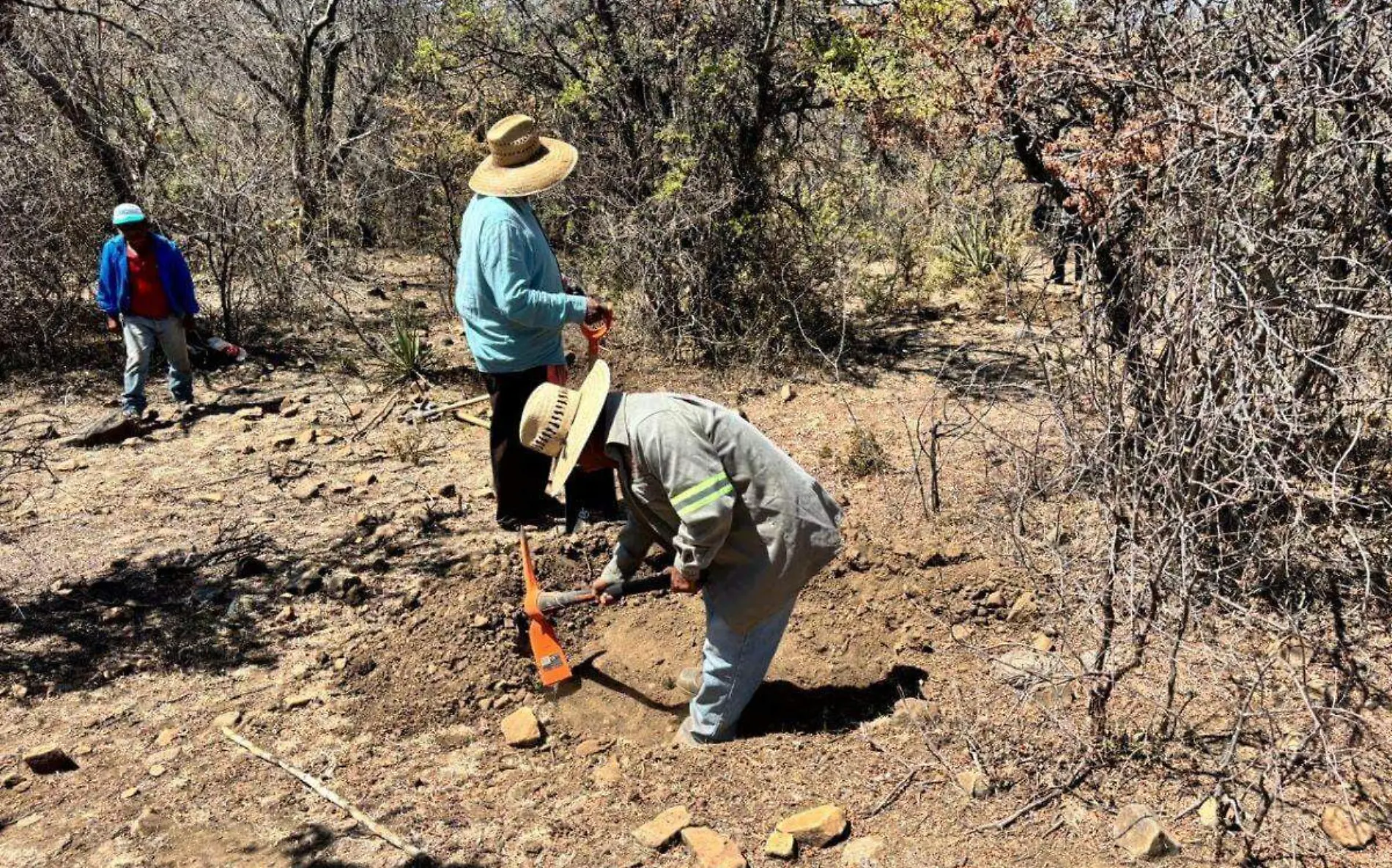 ejido-yecapixtla-reforestacion