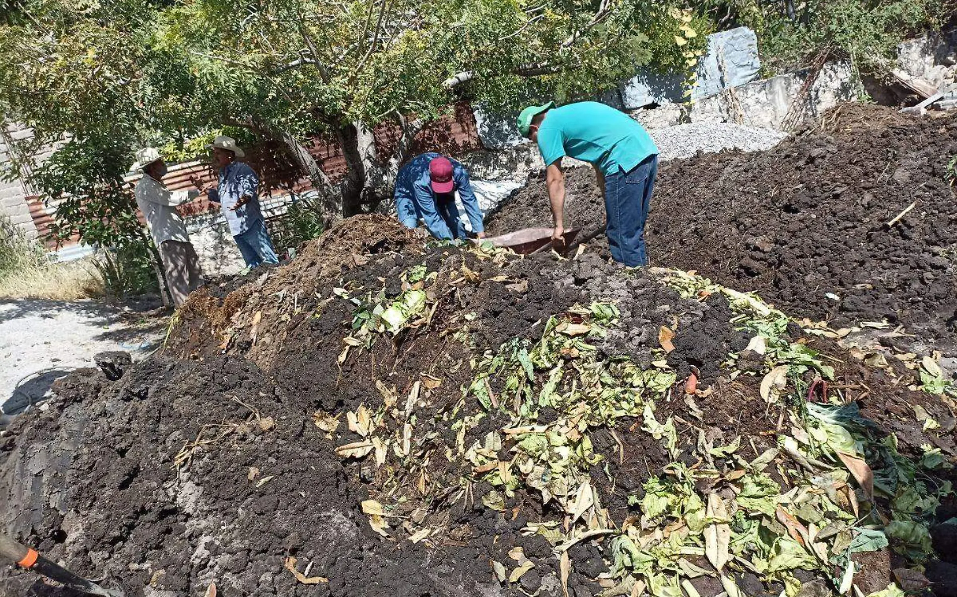 agricultores-morelos