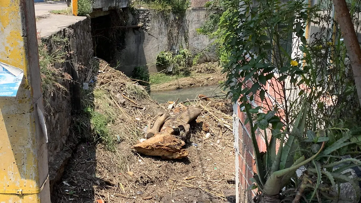 apantle-cuautla