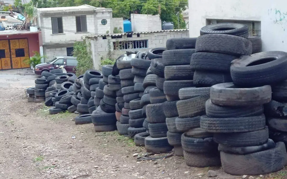 llantas-abandonadas-ayala