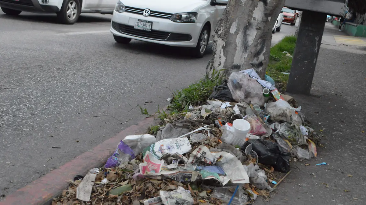 multas-por-tirar-basura