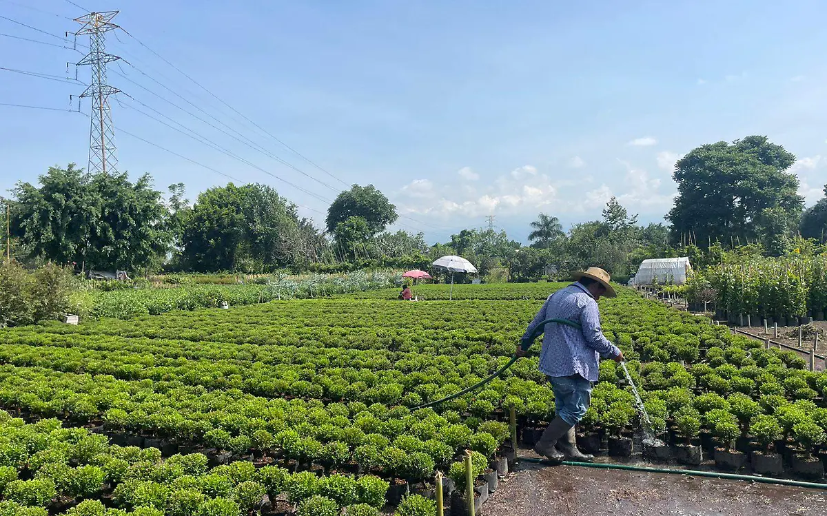 afectaciones-a-productores