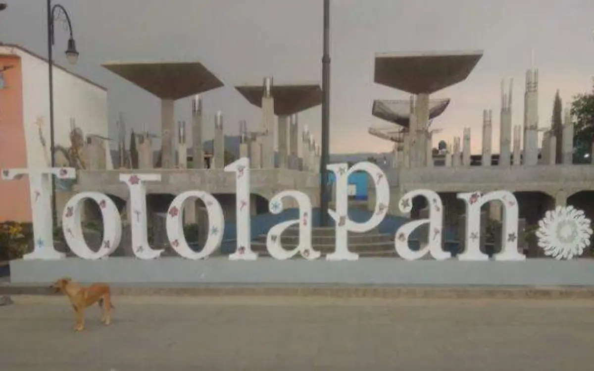 mercado-totolapan-ofelia