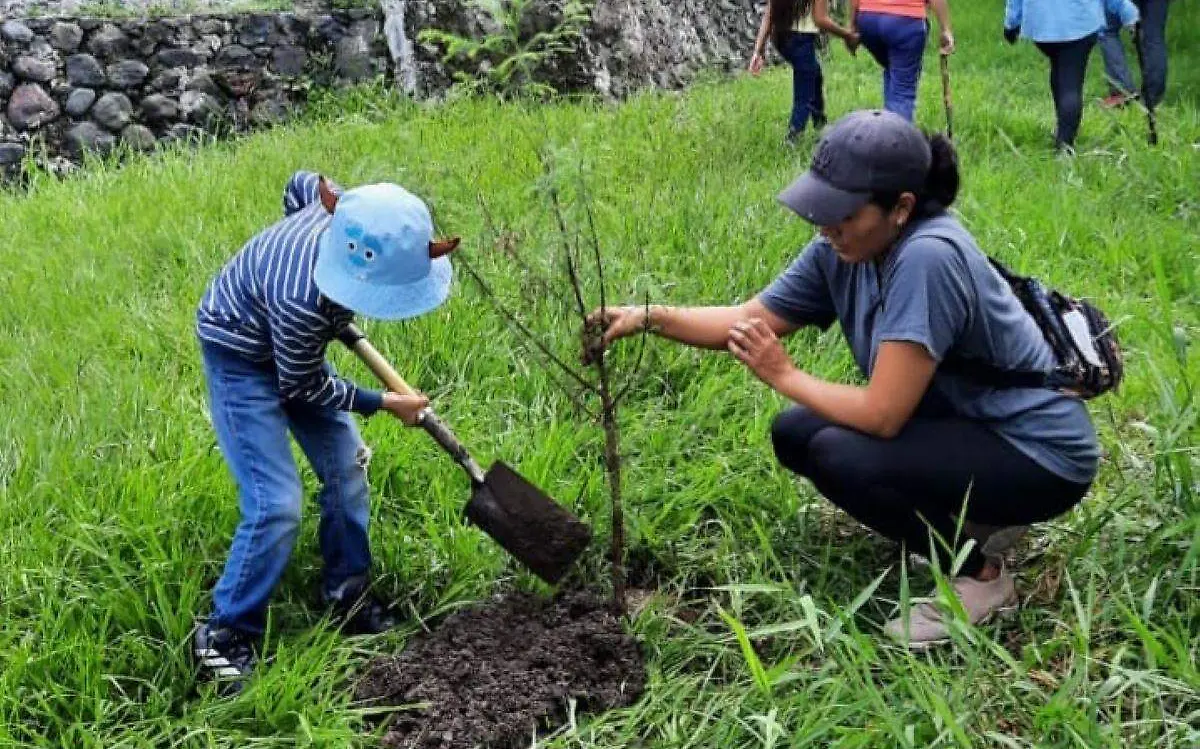 jornada-reforestacion-las-tazas