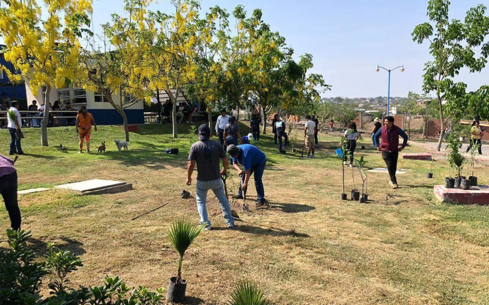 reforestacion-tec-cuautla