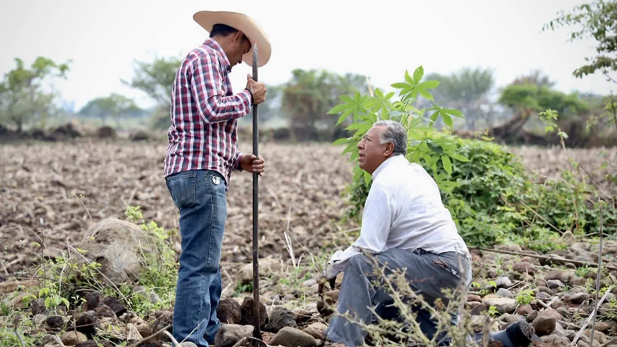 Reforestación en Jantetelco