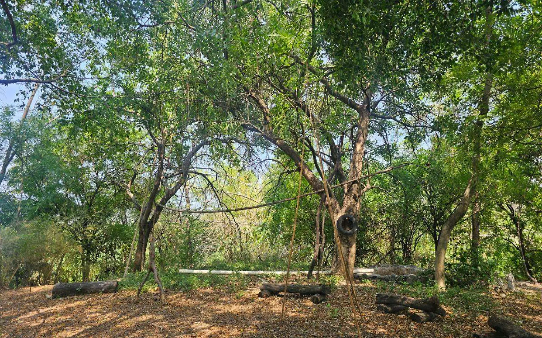 cerro-grande-cuautla