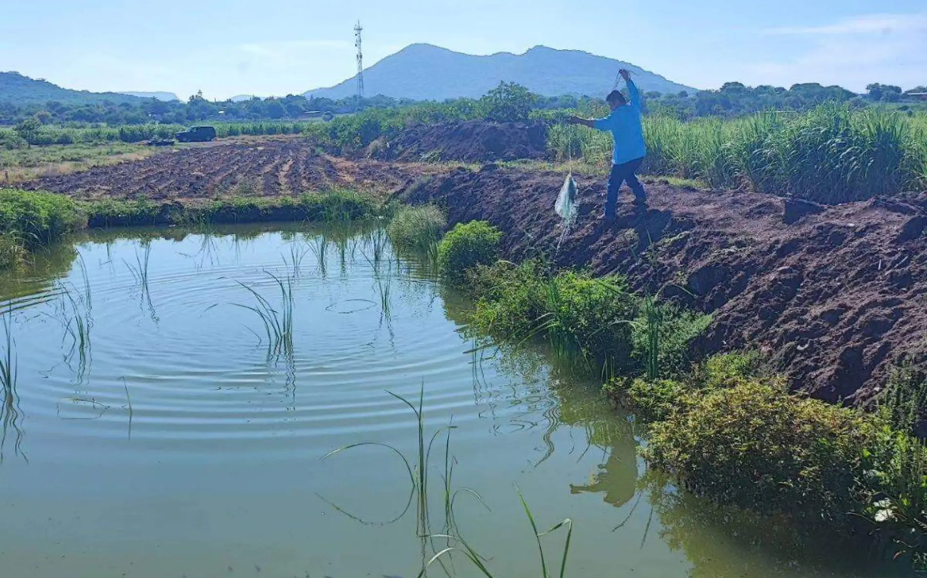 peces-tlayca-granja