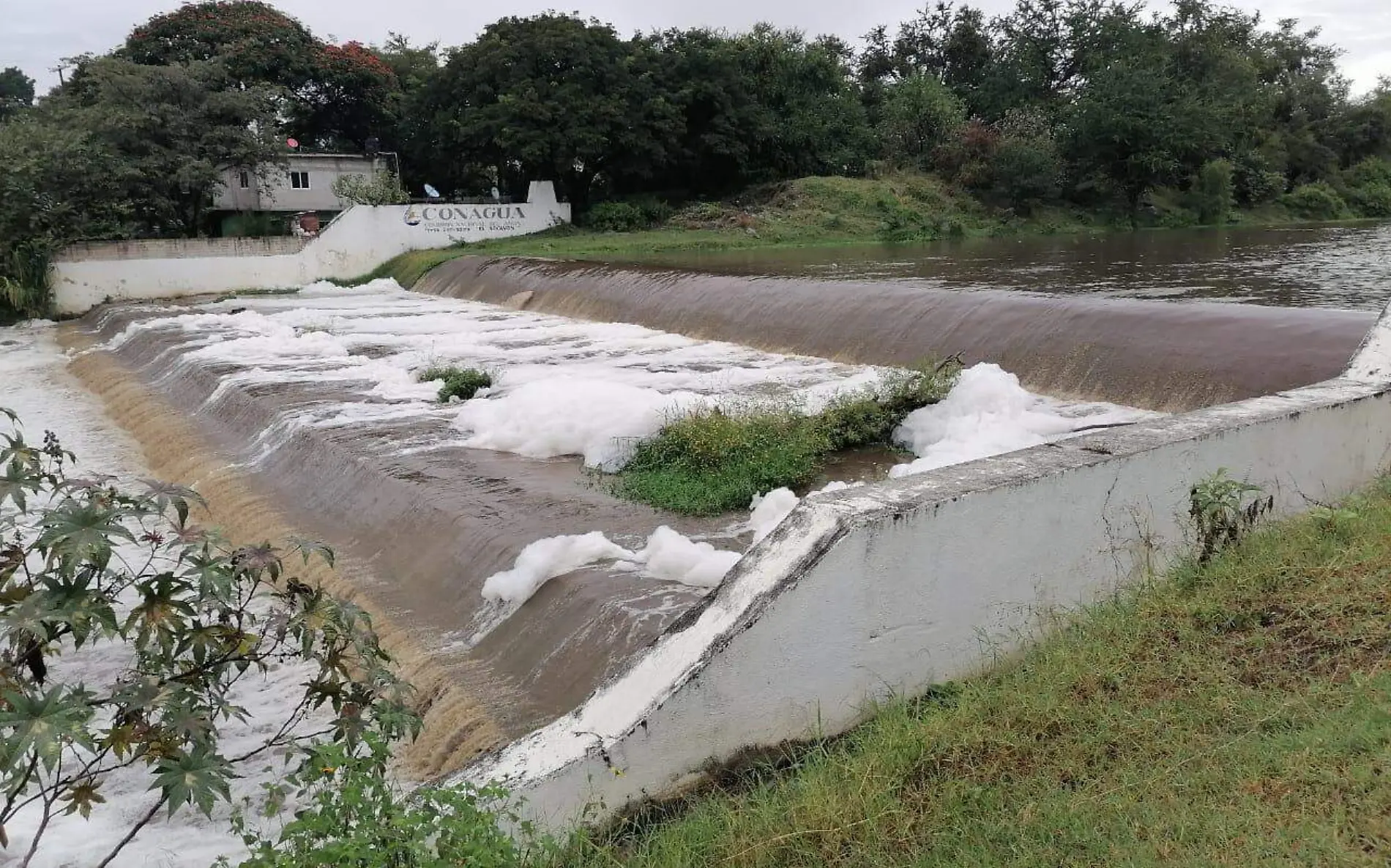 río-cuautla-espuma-contaminación-