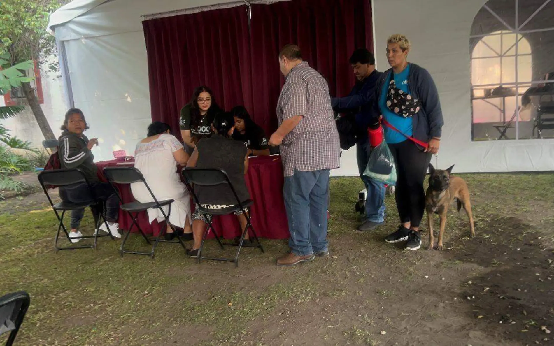 perritos_campañas_esterilizacion