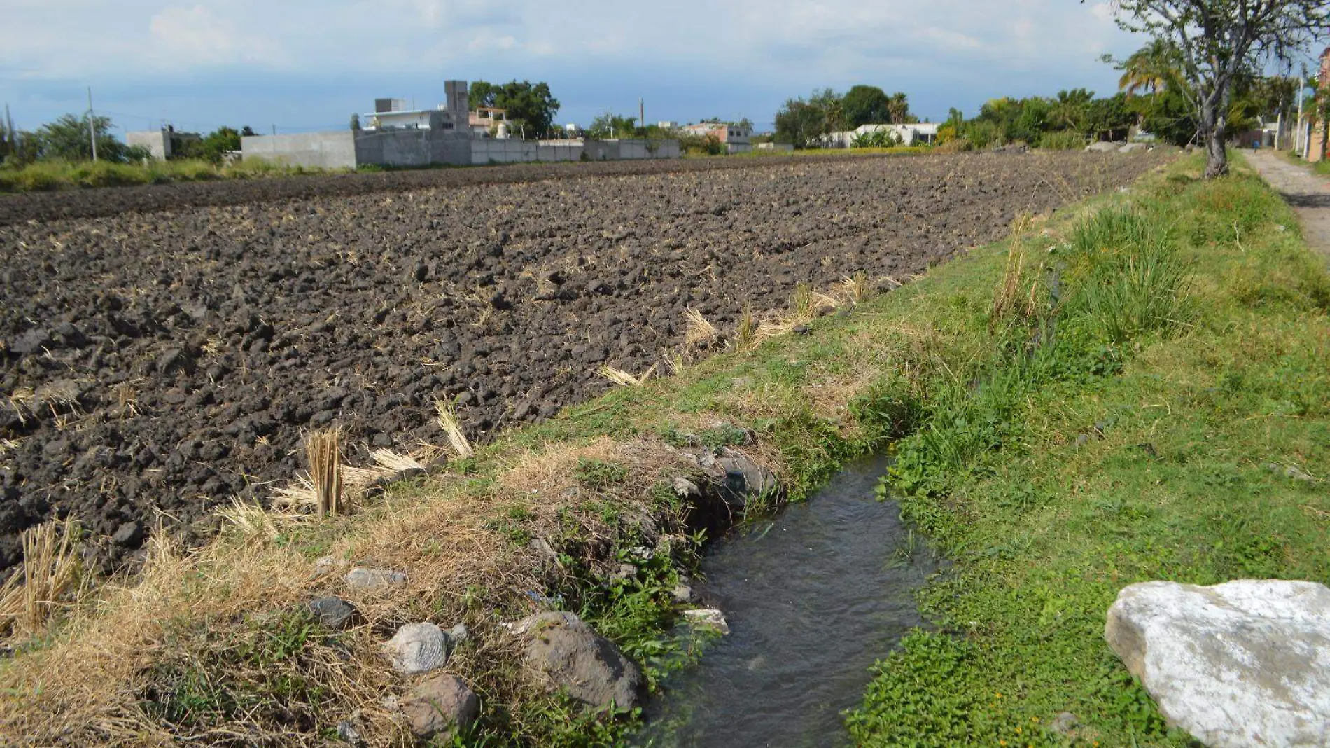 campo-cuautla-emmanuel