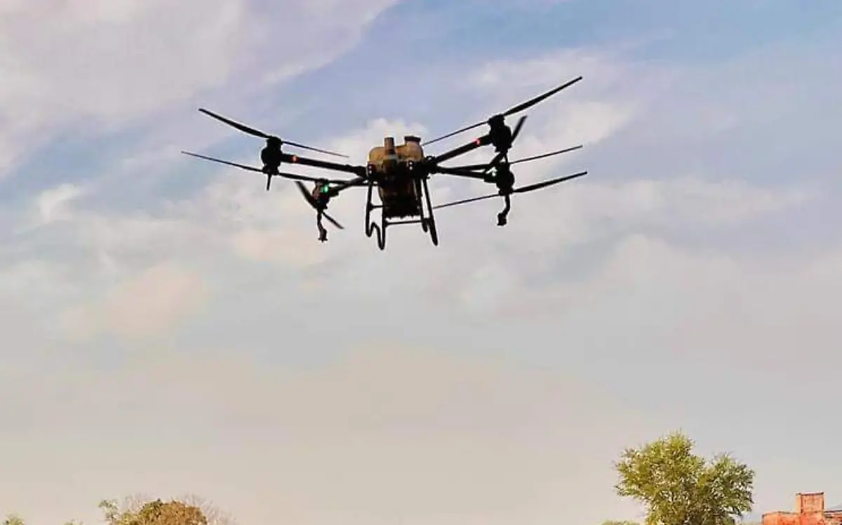 fumigación-campo-morelos-