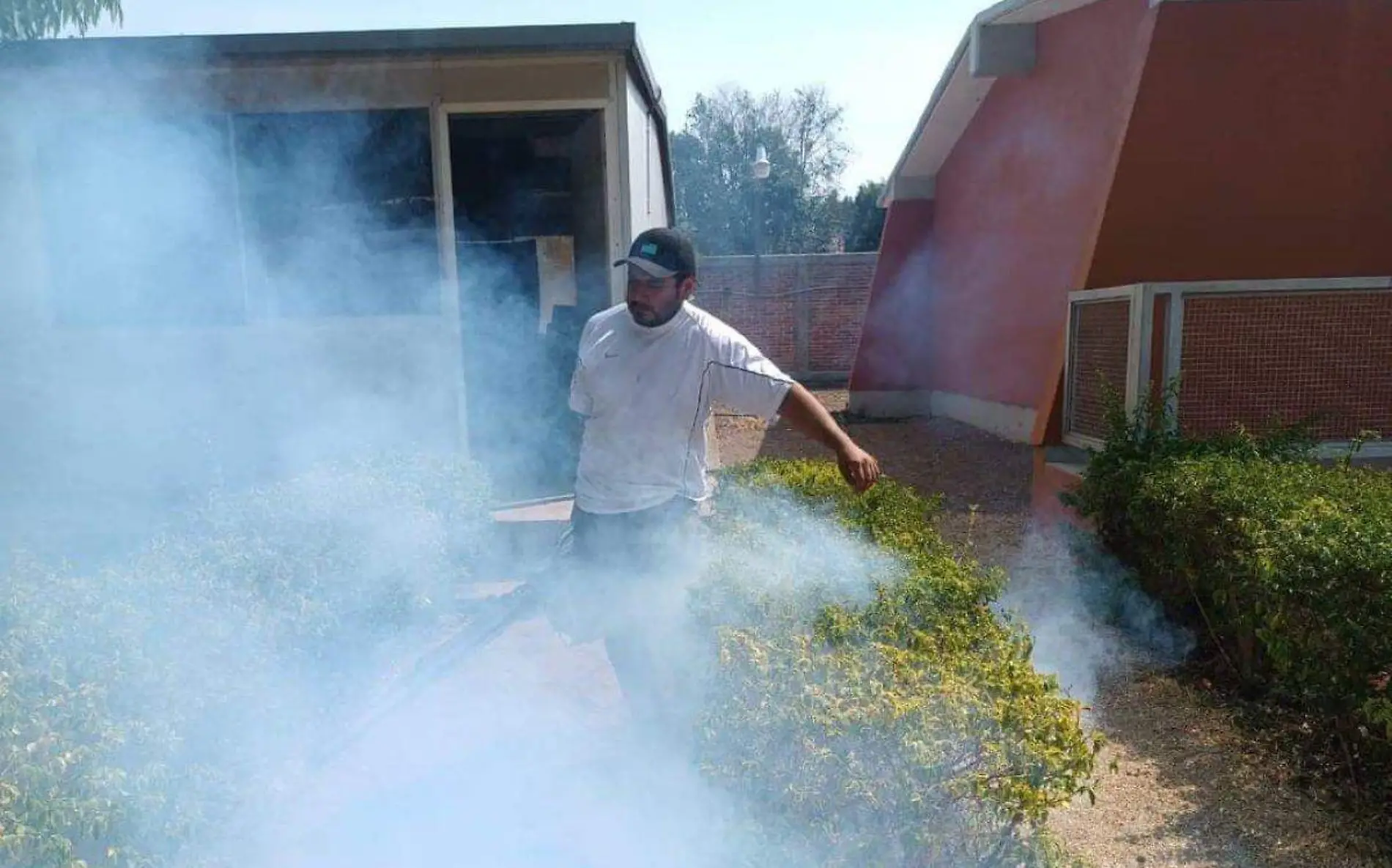 fumigacion-dengue-temoac