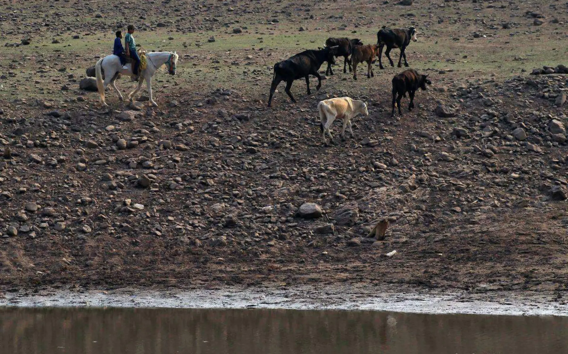 sequia-amacuzac-presa-morelos-cuartoscuro