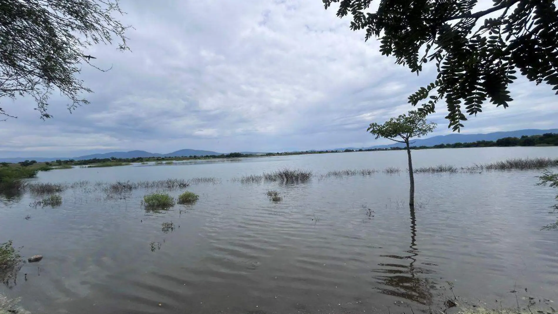 presas_zona_oriente