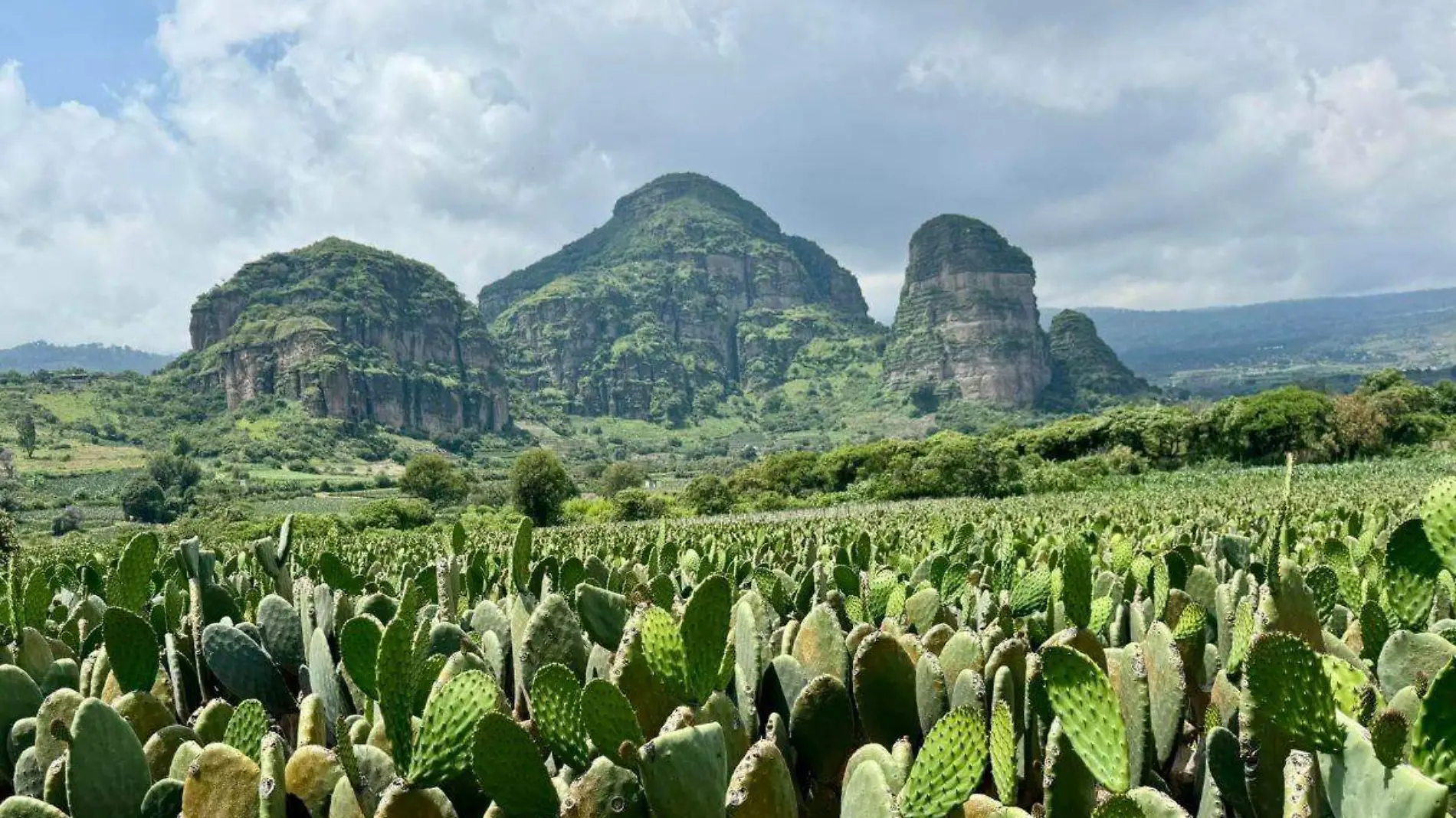 cerro_tlatoani_tlayacapan