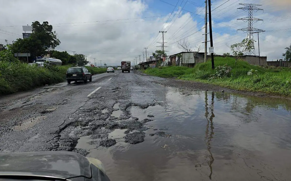 amayuca-baches