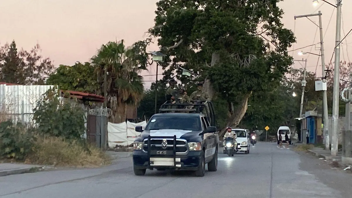 WhatsApp Image 2024-01-23 at 6.37.01 PM (1)