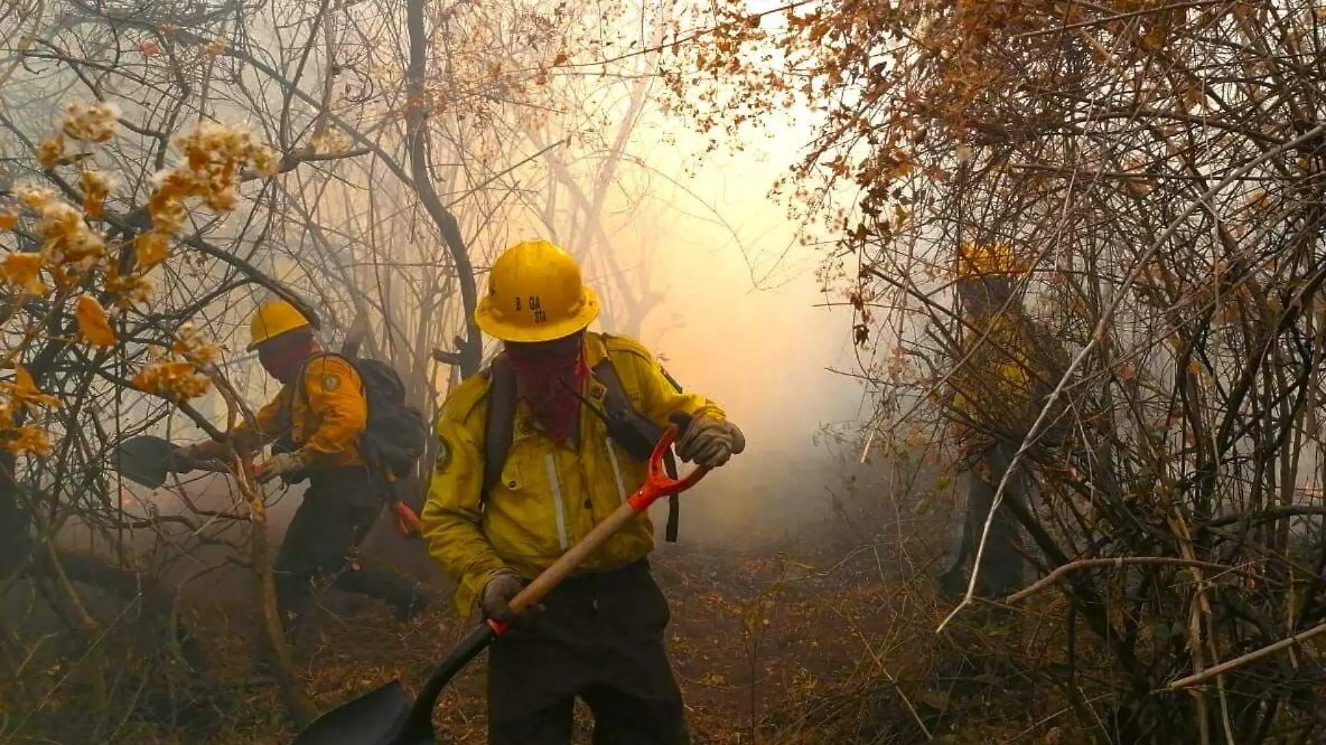 incendios-sds