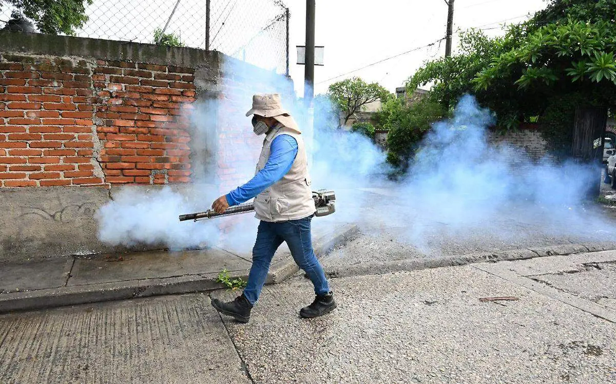 dengue-cuautla-ayuntamiento