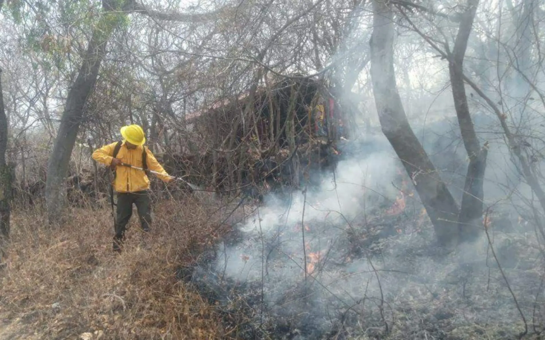 incendio-yautepec